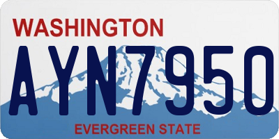 WA license plate AYN7950