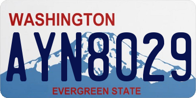 WA license plate AYN8029