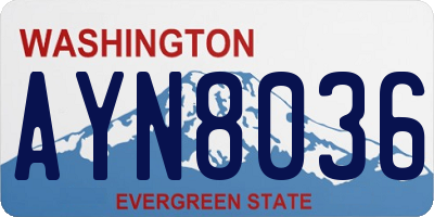 WA license plate AYN8036