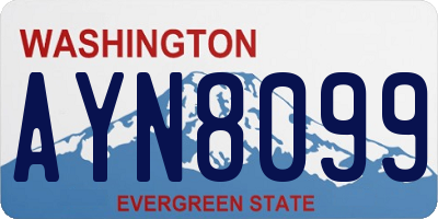 WA license plate AYN8099