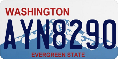 WA license plate AYN8290