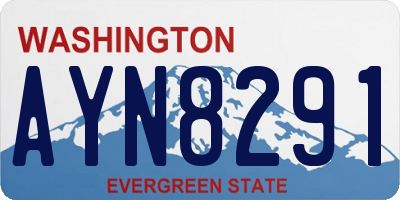 WA license plate AYN8291