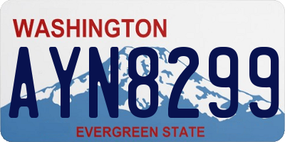WA license plate AYN8299