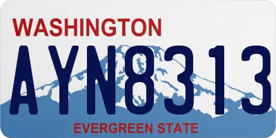 WA license plate AYN8313