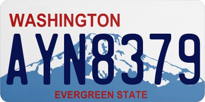 WA license plate AYN8379