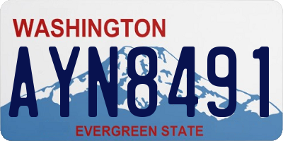 WA license plate AYN8491