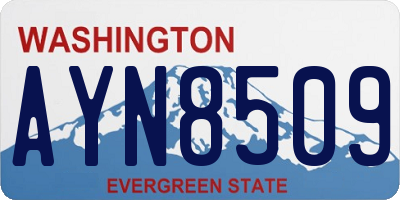 WA license plate AYN8509
