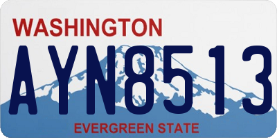 WA license plate AYN8513