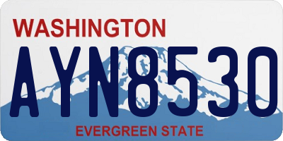WA license plate AYN8530