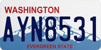 WA license plate AYN8531
