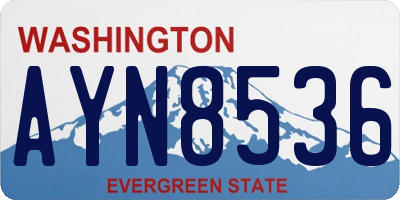 WA license plate AYN8536