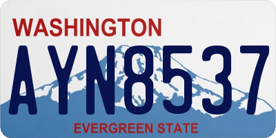 WA license plate AYN8537