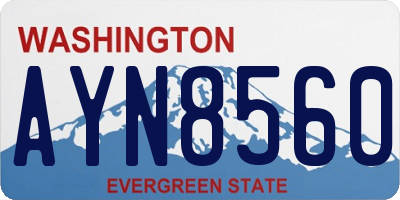 WA license plate AYN8560
