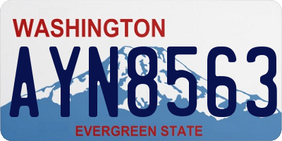 WA license plate AYN8563