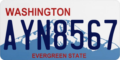 WA license plate AYN8567