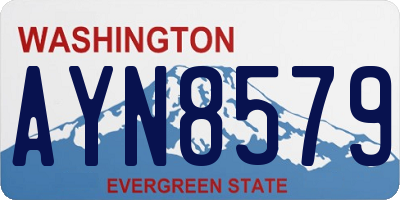 WA license plate AYN8579