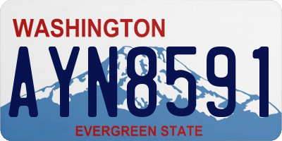 WA license plate AYN8591