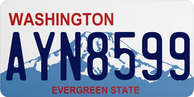 WA license plate AYN8599