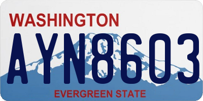 WA license plate AYN8603