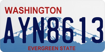WA license plate AYN8613