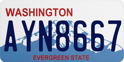 WA license plate AYN8667