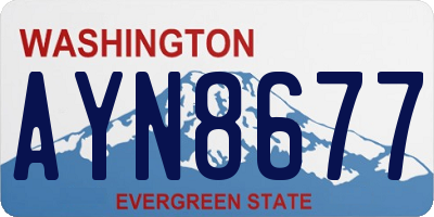 WA license plate AYN8677