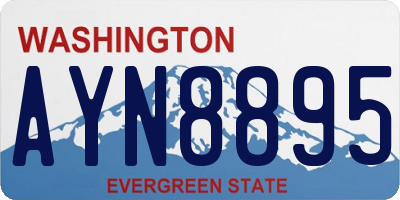 WA license plate AYN8895