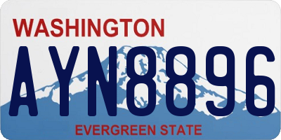 WA license plate AYN8896