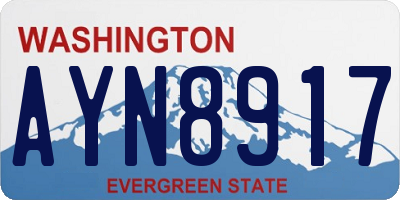 WA license plate AYN8917