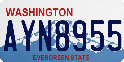 WA license plate AYN8955