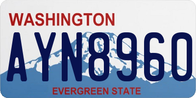 WA license plate AYN8960