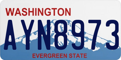 WA license plate AYN8973