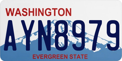 WA license plate AYN8979