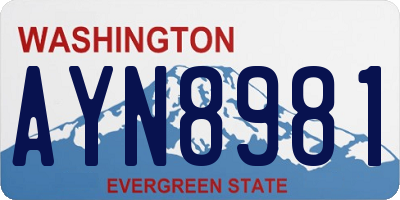 WA license plate AYN8981