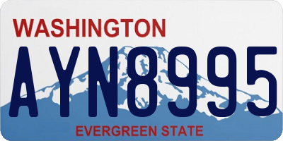 WA license plate AYN8995
