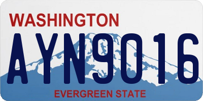 WA license plate AYN9016