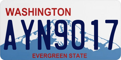 WA license plate AYN9017