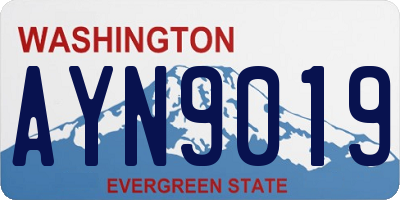 WA license plate AYN9019