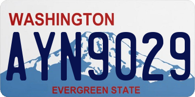 WA license plate AYN9029