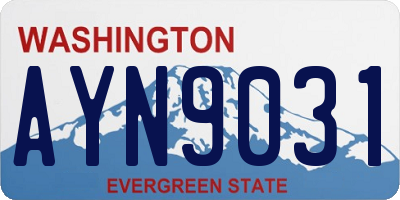 WA license plate AYN9031