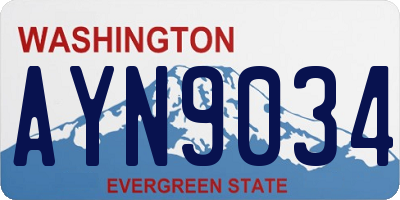 WA license plate AYN9034