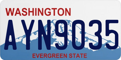 WA license plate AYN9035
