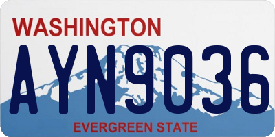 WA license plate AYN9036