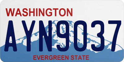 WA license plate AYN9037
