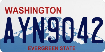 WA license plate AYN9042