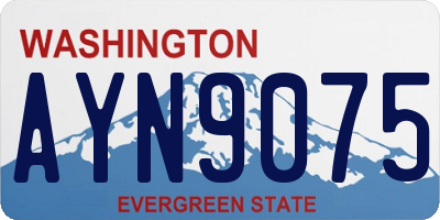 WA license plate AYN9075
