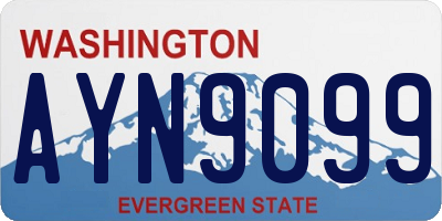WA license plate AYN9099