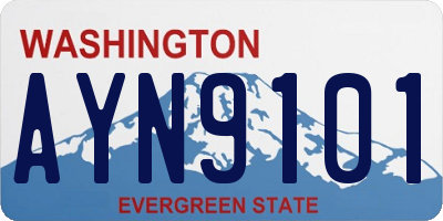WA license plate AYN9101