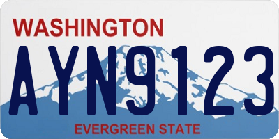 WA license plate AYN9123