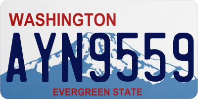 WA license plate AYN9559